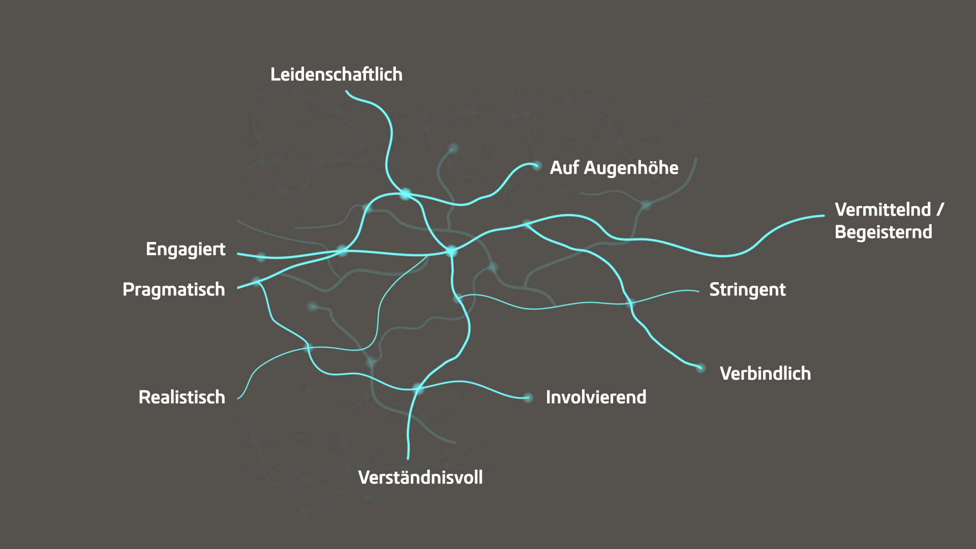 arbeitsweise consyneo